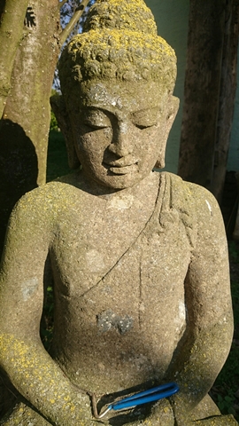 Gartenbuddha 1